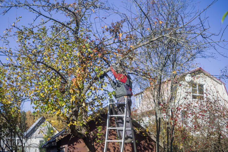 Tree Installation Service detail