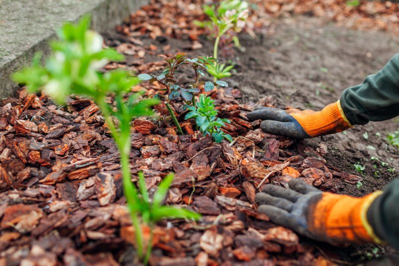 Garden Mulching