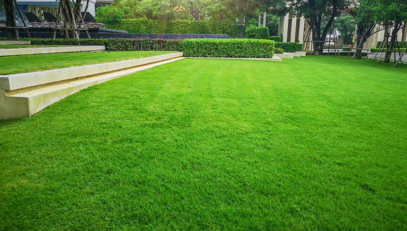 Lawn Landscaping