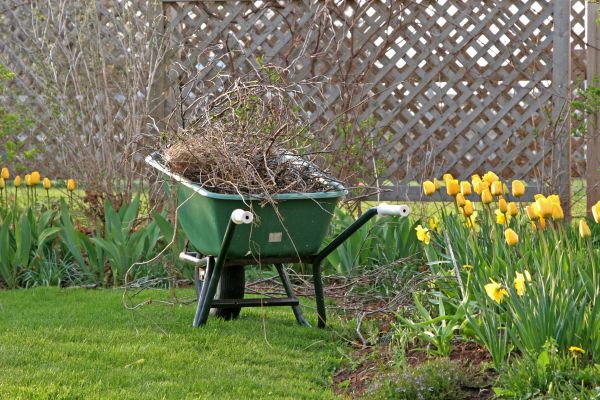 Flower Bed Cleanup Service in Hopkins