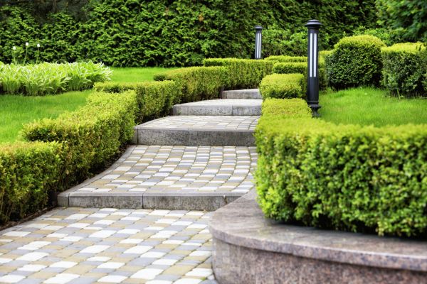 Backyard Remodeling in Hopkins