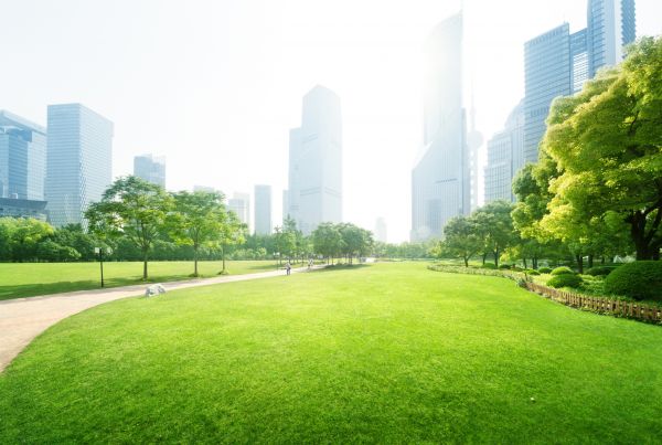 Commercial Landscape Maintenance Service