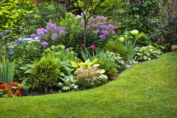 Flower Bed Service in Hopkins