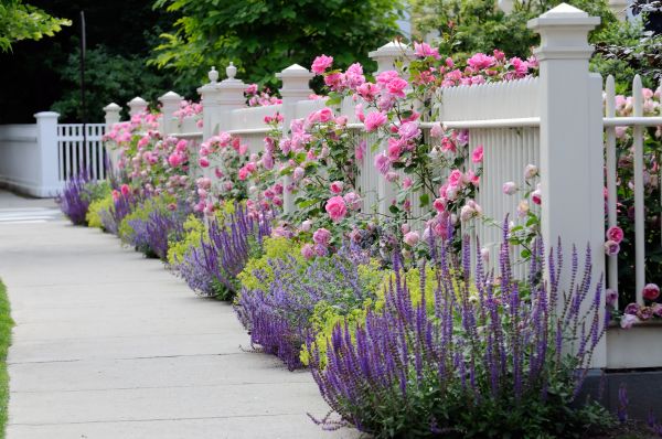 Garden Handyman Service in Hopkins