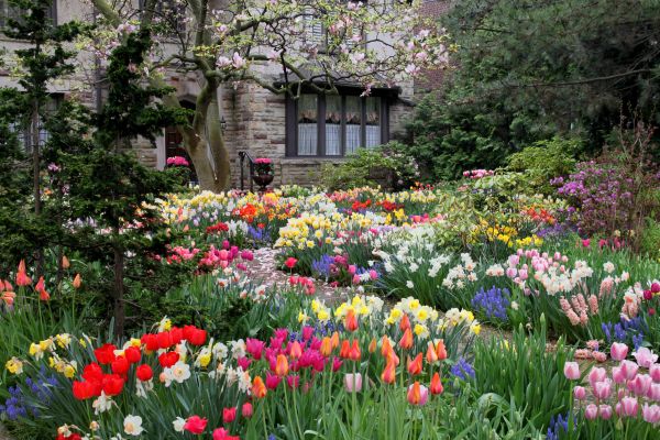 Garden Maintenance Service in Hopkins