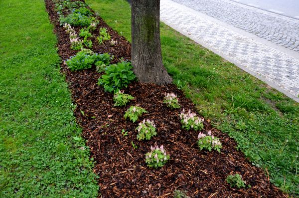 Mulch Replacement Service in Hopkins
