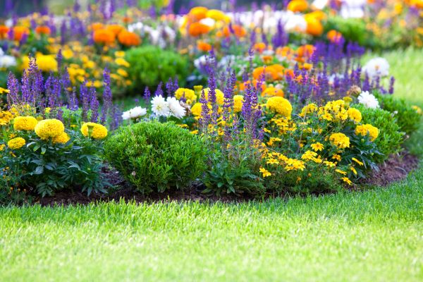 Garden Installation in Hopkins