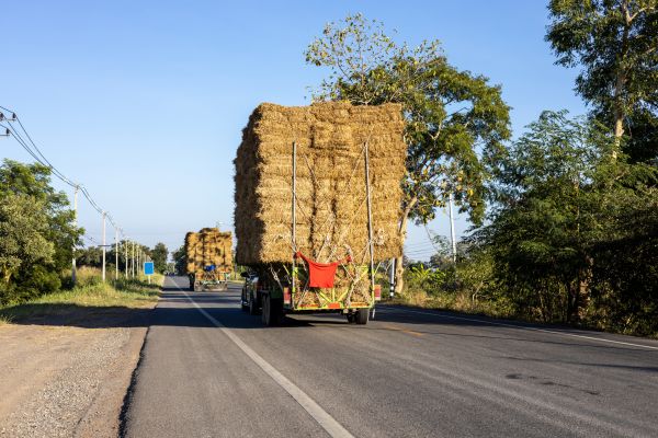 Pine Straw Delivery in Hopkins