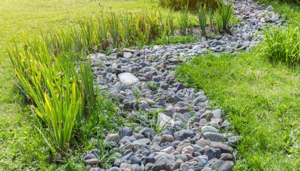 River Rock Garden Installation in Hopkins