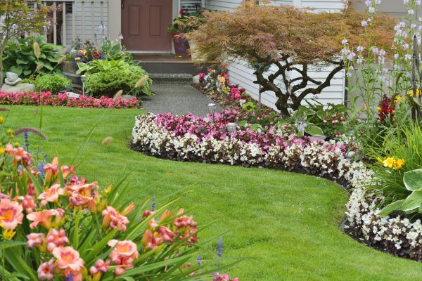 Perennial Landscaping in Hopkins