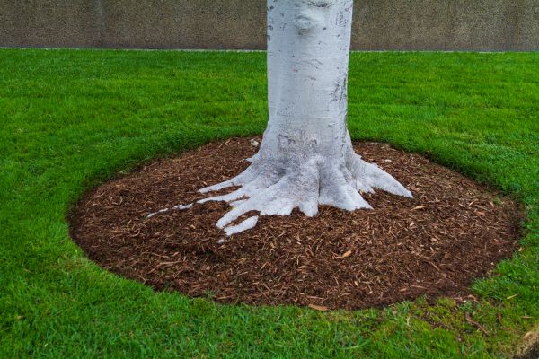Brown Mulch Installation in Hopkins