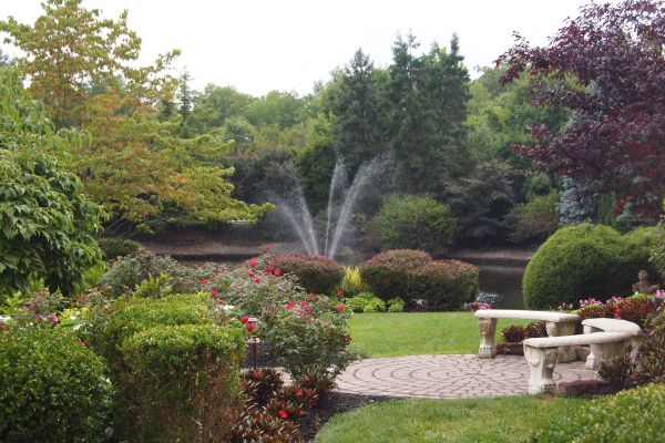 Courtyard Design Service in Hopkins