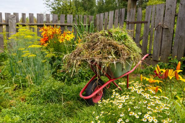Garden Cleanup Service in Hopkins