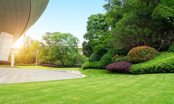 Business Landscape Design in Hopkins