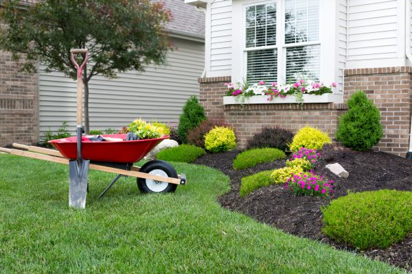 Tree And Shrub Planting in Hopkins