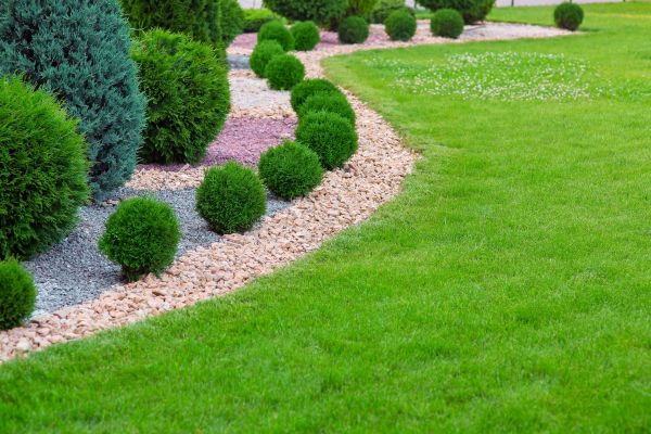 Edging Stones Installation in Hopkins