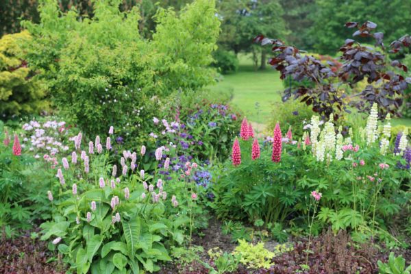 Flower Bed Planting in Hopkins