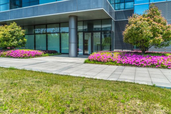 Commercial Gardening Service