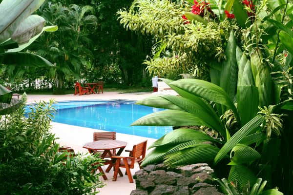 Tropical Garden Landscaping in Hopkins