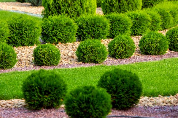Bush Installation in Hopkins