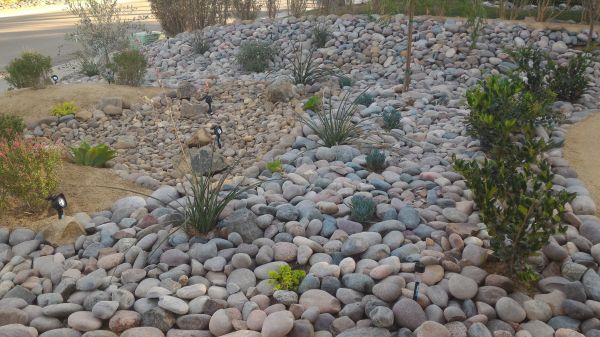 Yard Xeriscaping in Hopkins