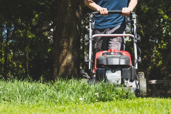 Garden Trimming Service in Hopkins