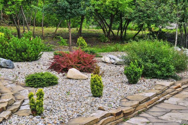 Hardscape Landscaping in Hopkins