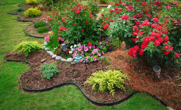Floral Landscaping in Hopkins