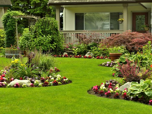 Flower Garden Planting in Hopkins