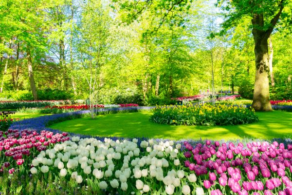 Flower Landscaping in Hopkins