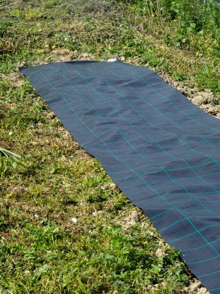 Weed Suppressant Installation in Hopkins