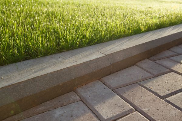 Lawn Edging Replacement in Hopkins
