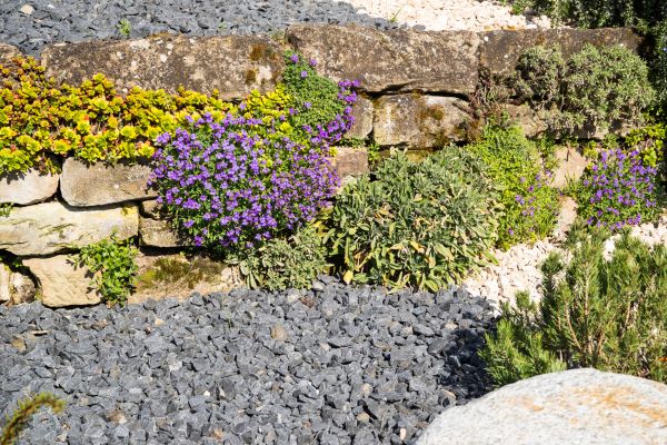 Landscaping Rocks Installation in Hopkins