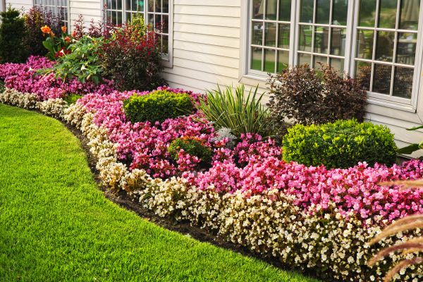 Garden Landscape Design in Hopkins