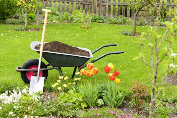 Spring Yard Renovation in Hopkins