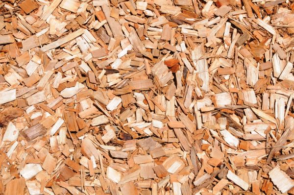 Cypress Mulch Spreading in Hopkins