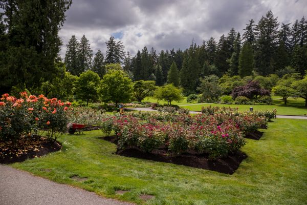 Flower Garden Landscaping in Hopkins